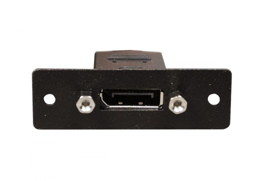 1P,BLACK,DISPLAY PORT F/F