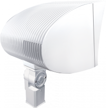 RAB Lighting FXF52SFQTW/PC - FX SF 52W CFL QT HPF LAMP+120V