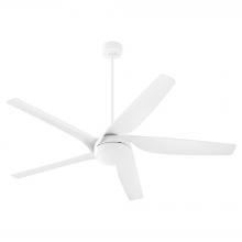 Quorum 41655-8 - Fury 65&#34; 5BL Fan - SW