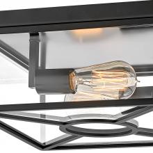 Hinkley 18373BK - Small Flush Mount