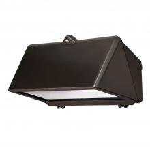 Cooper Lighting Solutions WG/WPFC - WAL-PAK WIRE GUARD-FULL CUTOFF GLASS DOO