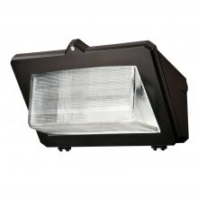 Cooper Lighting Solutions WG/WPGL - WAL-PAK WIRE GUARD-BOROSILICATE GLASS DO